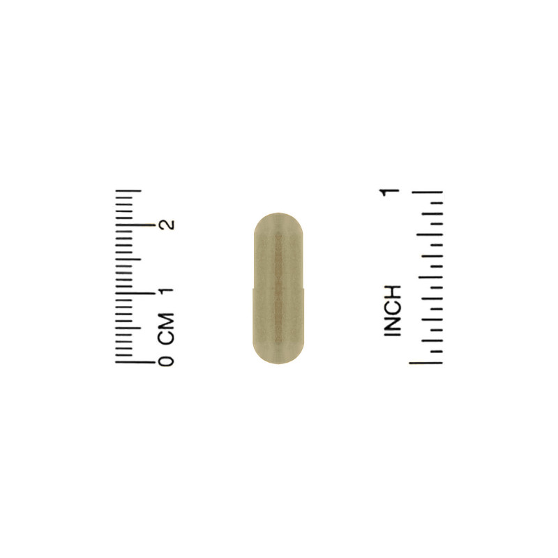 Whole World Botanicals Роскошная камнеломка для поддержки печени и желчного пузыря 400 мг 120 капсул на растительной основе