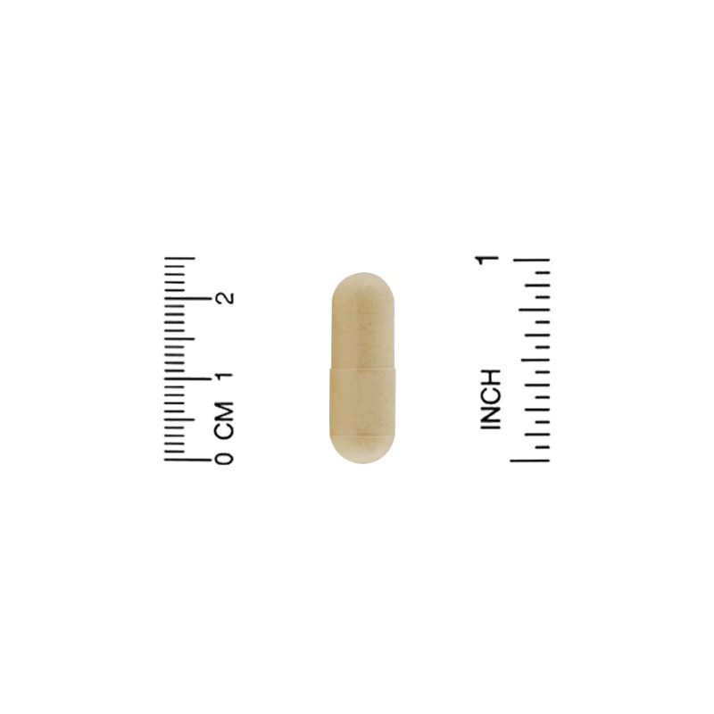 California Gold Nutrition, ежовик гребенчатый, с полным спектром, сертифицированный органический продукт, 90 растительных капсул